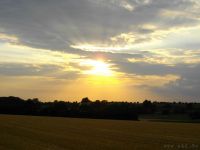 Sommerfest Baumberge 2010 068